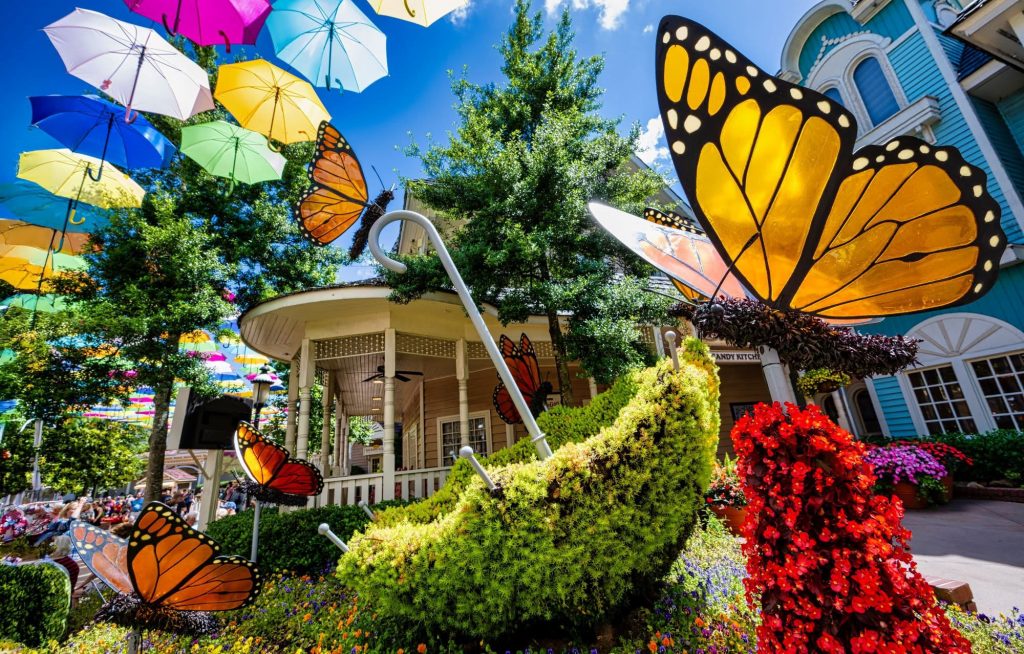 image 1669 Festival 2025