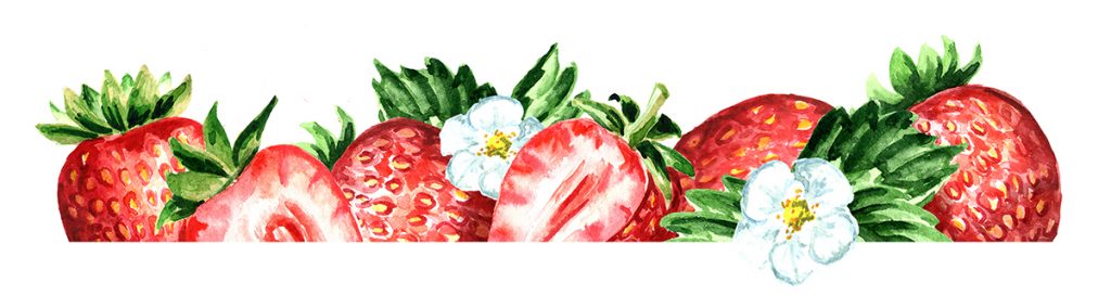 image 1677 Festival 2025