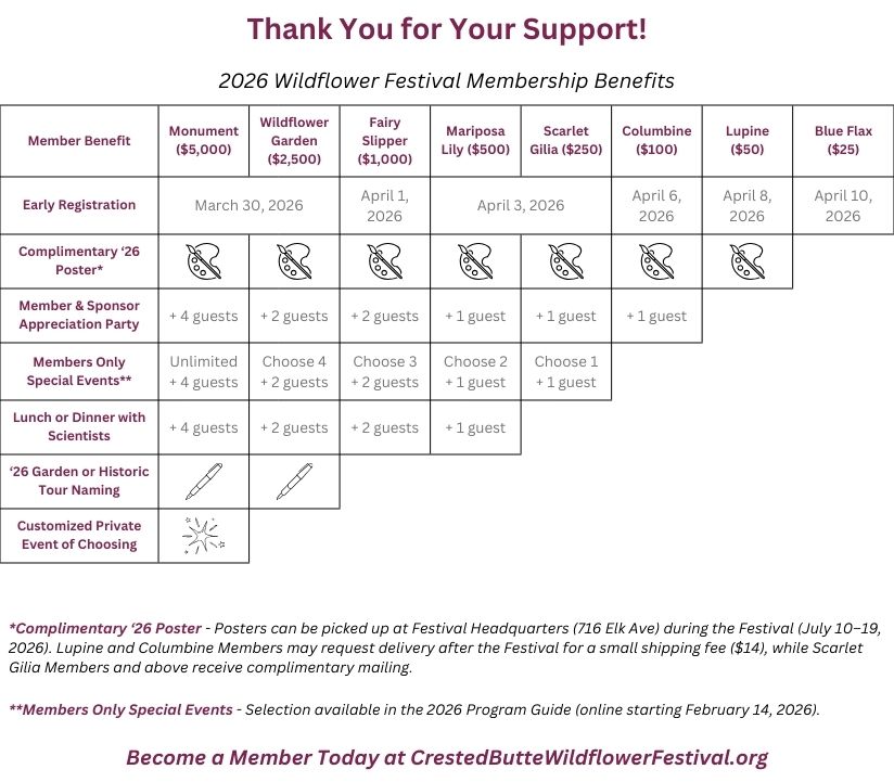 image 1695 Festival 2025