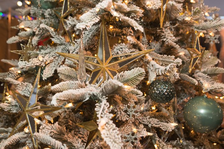 image 1760 Festival 2025