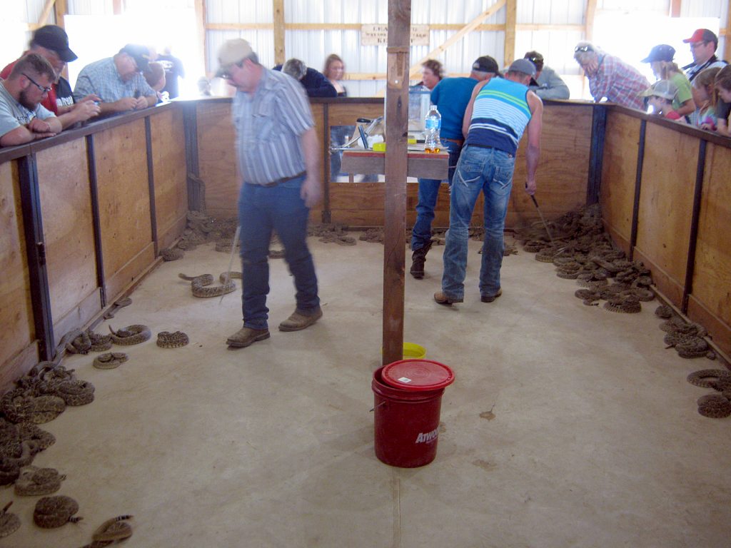 image 1807 Festival 2025