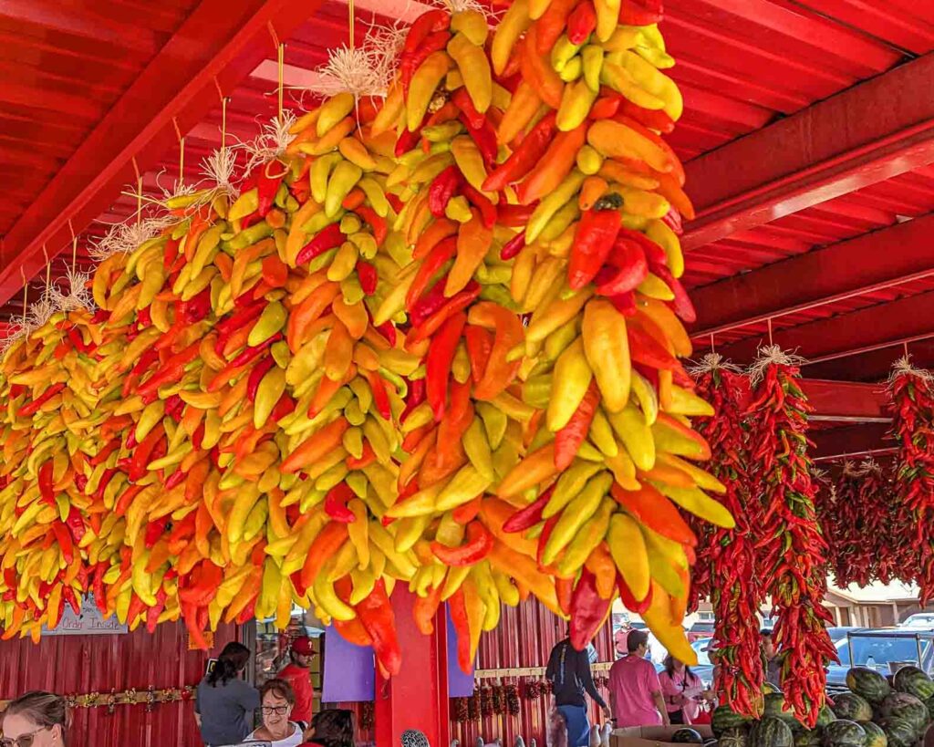 image 1836 Festival 2025