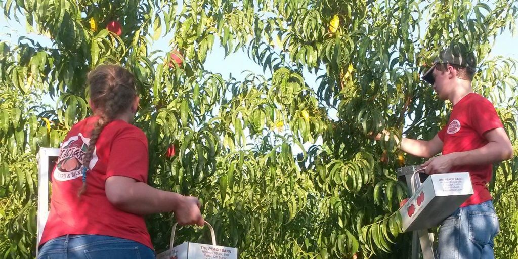 image 191 Festival 2025