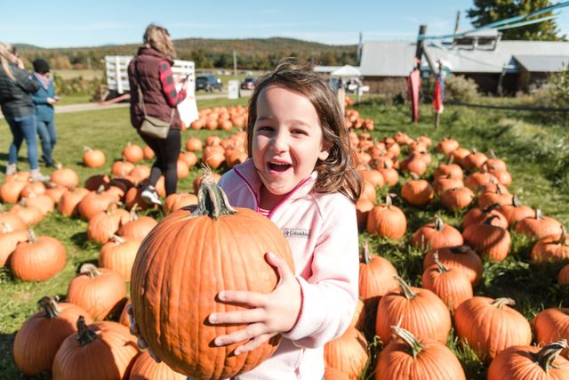 image 1913 Festival 2025