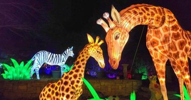 image 1916 Festival 2025