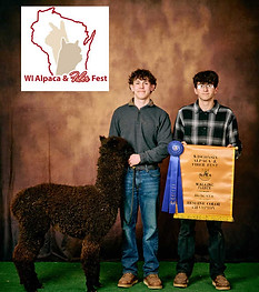 image 1974 Festival 2025