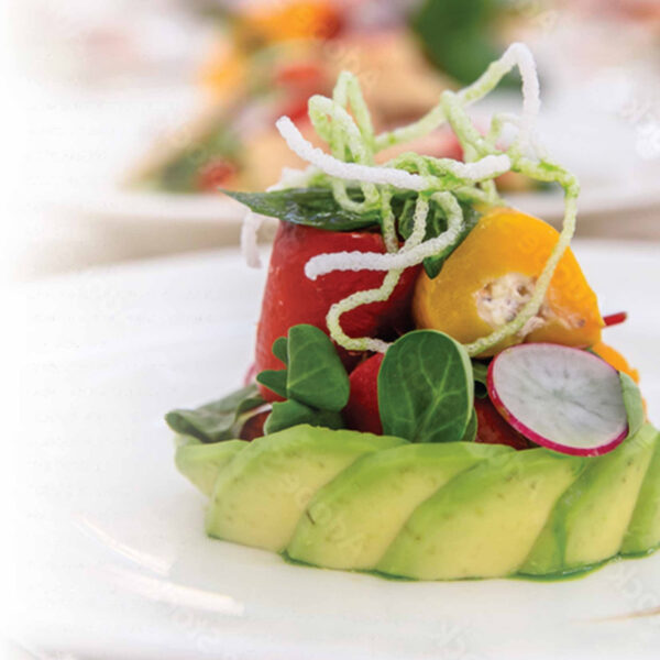 image 1976 Festival 2025