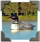 image 1997 Festival 2025