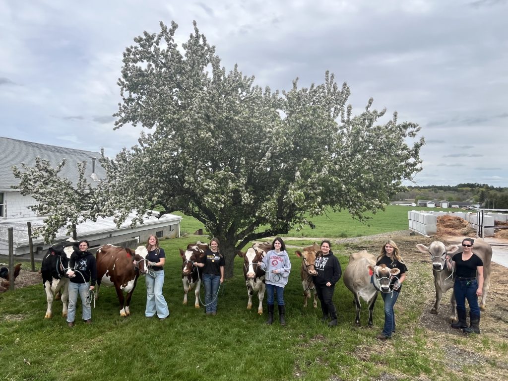 image 20 Festival 2025