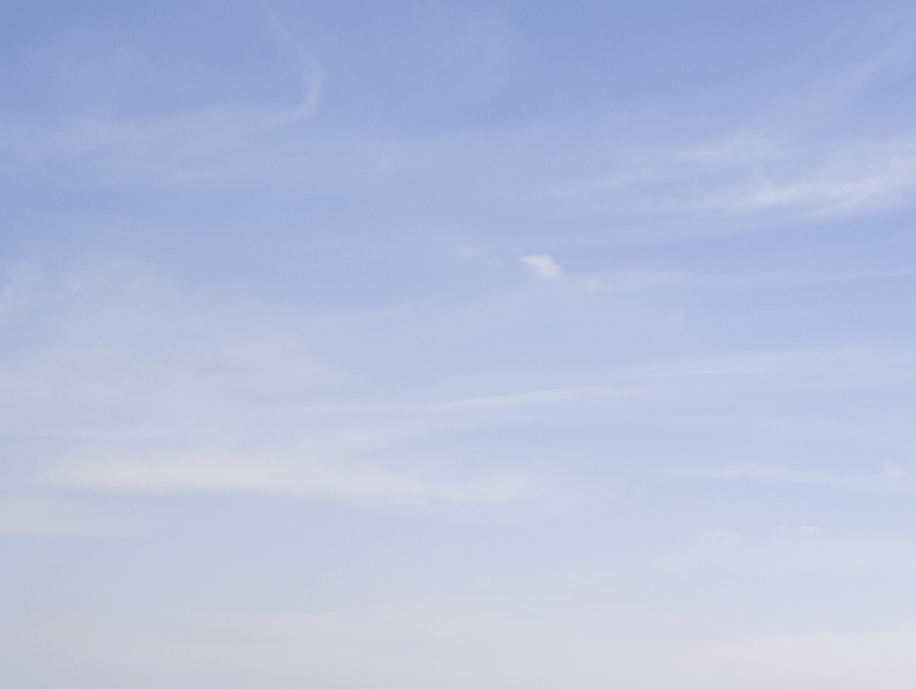 image 20 Festival 2025