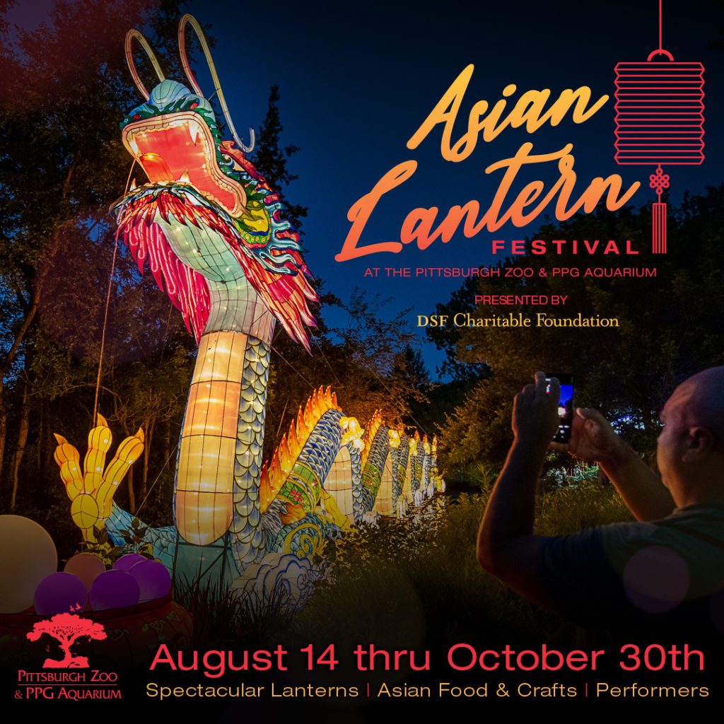 image 2025 Festival 2025