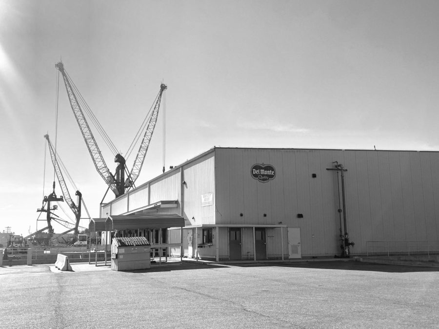 image 2053 Festival 2025