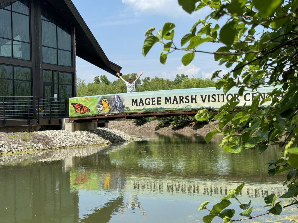 image 2078 Festival 2025