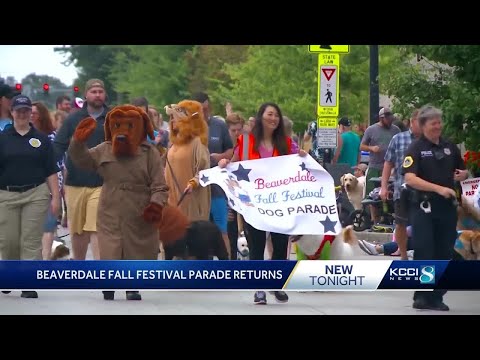 image 2082 Festival 2025