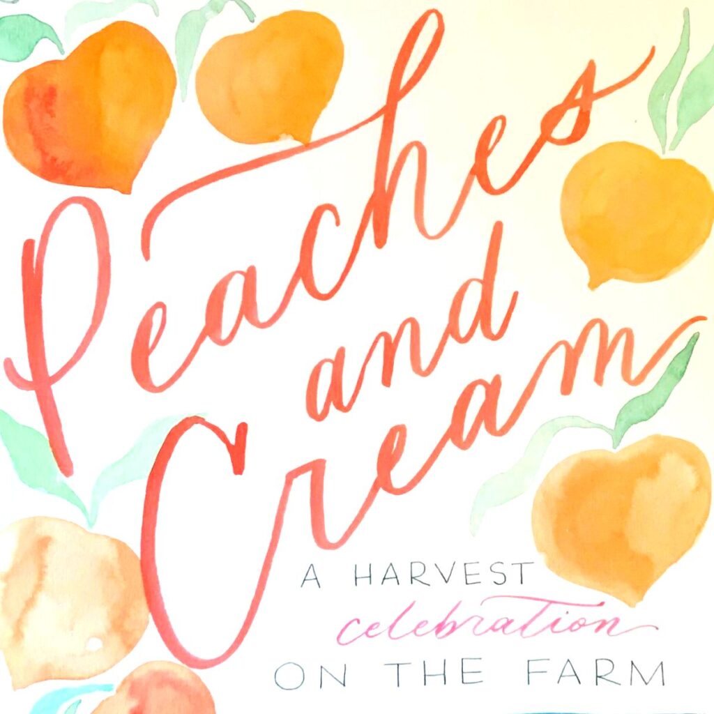 image 2098 Festival 2025