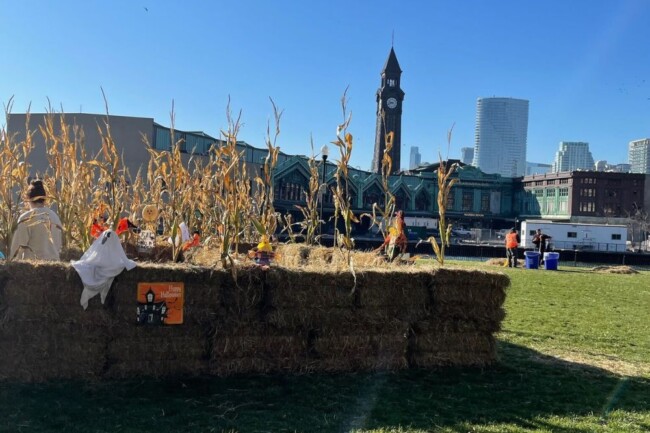 image 2122 Festival 2025