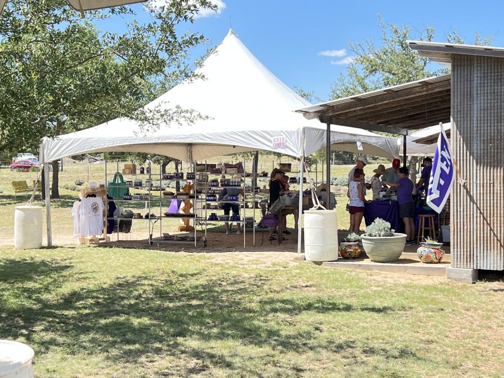 image 2123 Festival 2025