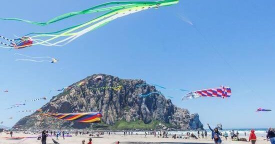 image 2162 Festival 2025