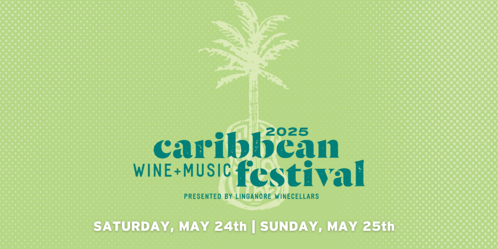 image 217 Festival 2025