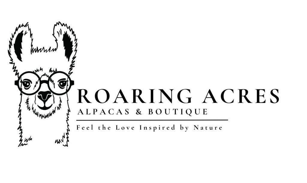 image 2183 Festival 2025