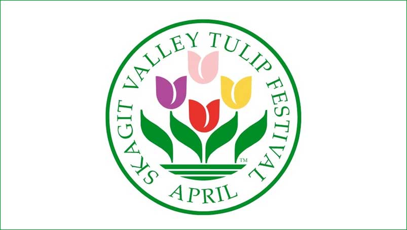 image 221 Festival 2025