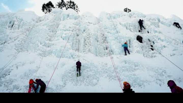 image 2219 Festival 2025