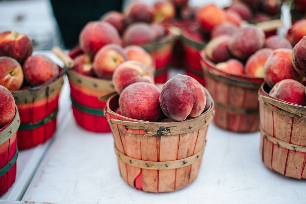 image 2224 Festival 2025