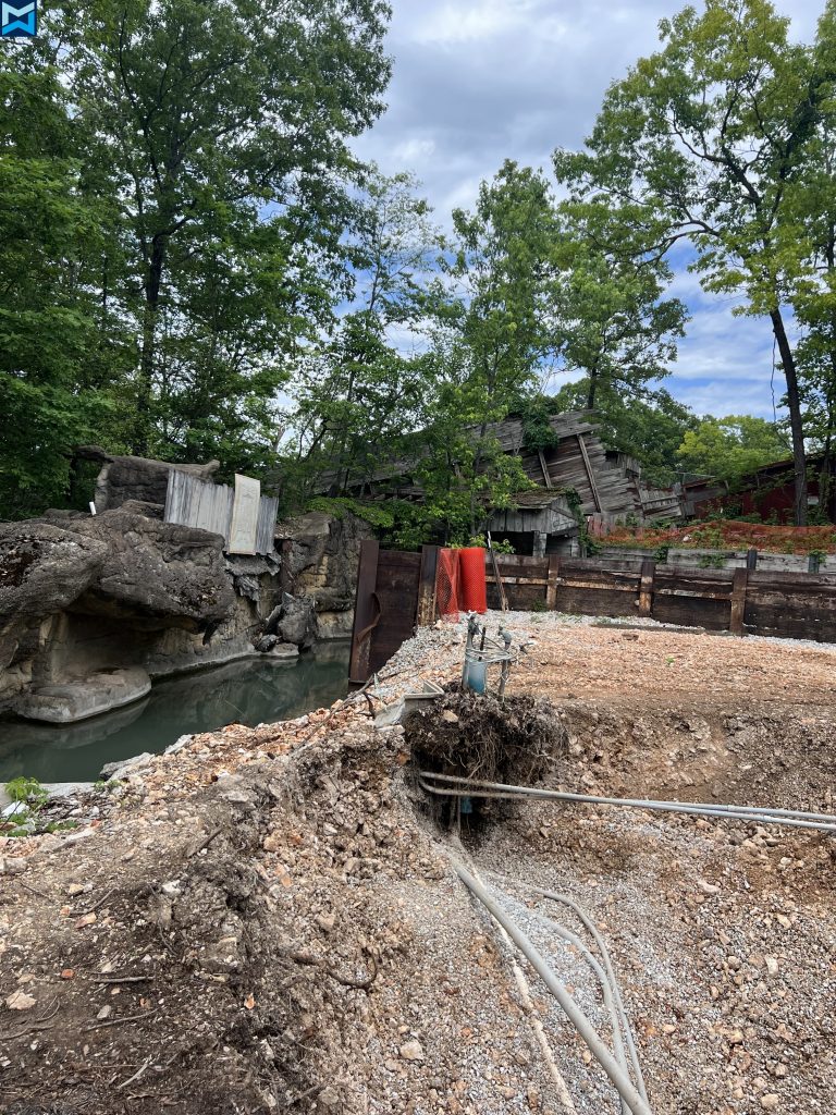 image 228 Festival 2025