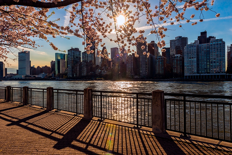 image 2285 Festival 2025