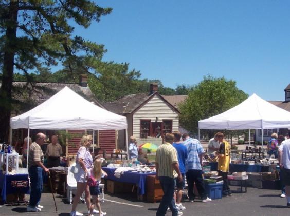 image 232 Festival 2025