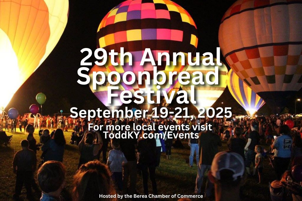 image 238 Festival 2025