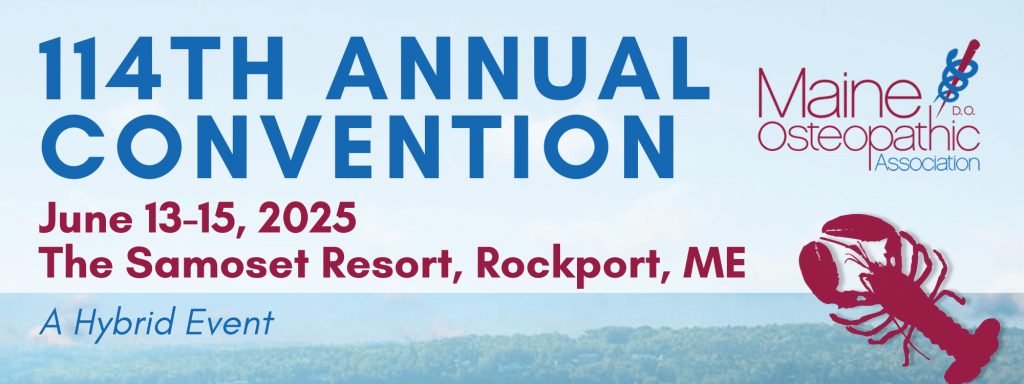 image 241 Festival 2025