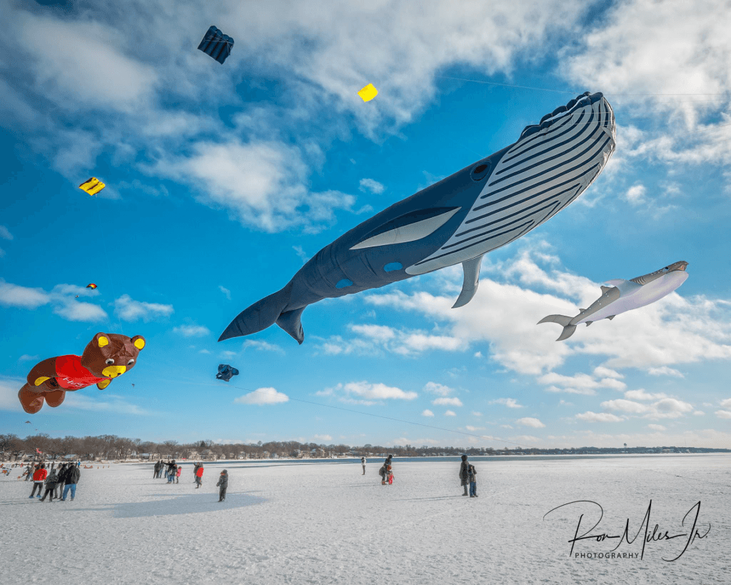 image 246 Festival 2025