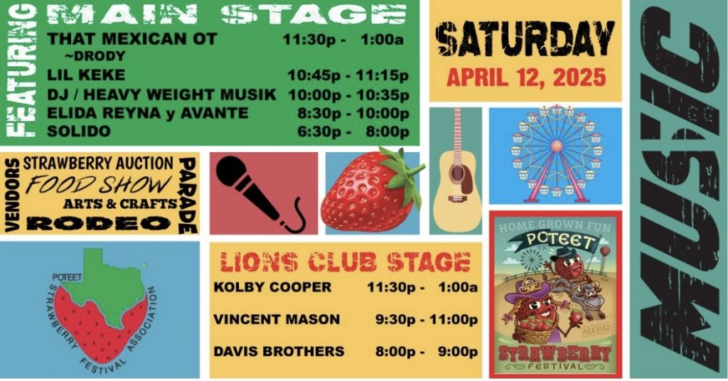 image 254 Festival 2025