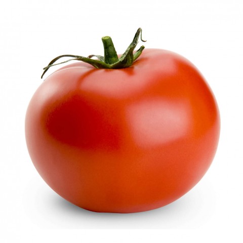 image 272 Festival 2025