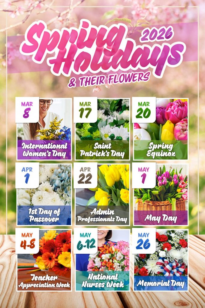 image 274 Festival 2025