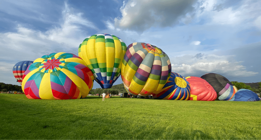 image 284 Festival 2025