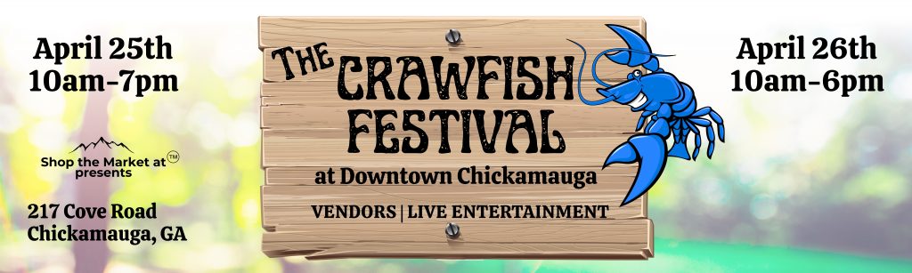 image 299 Festival 2025