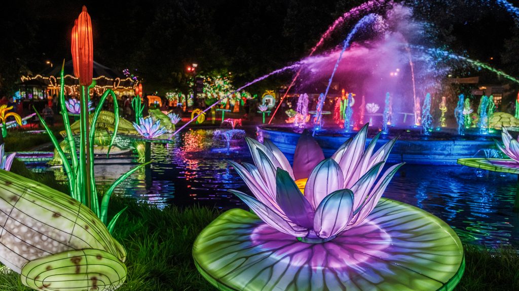 image 3 Festival 2025