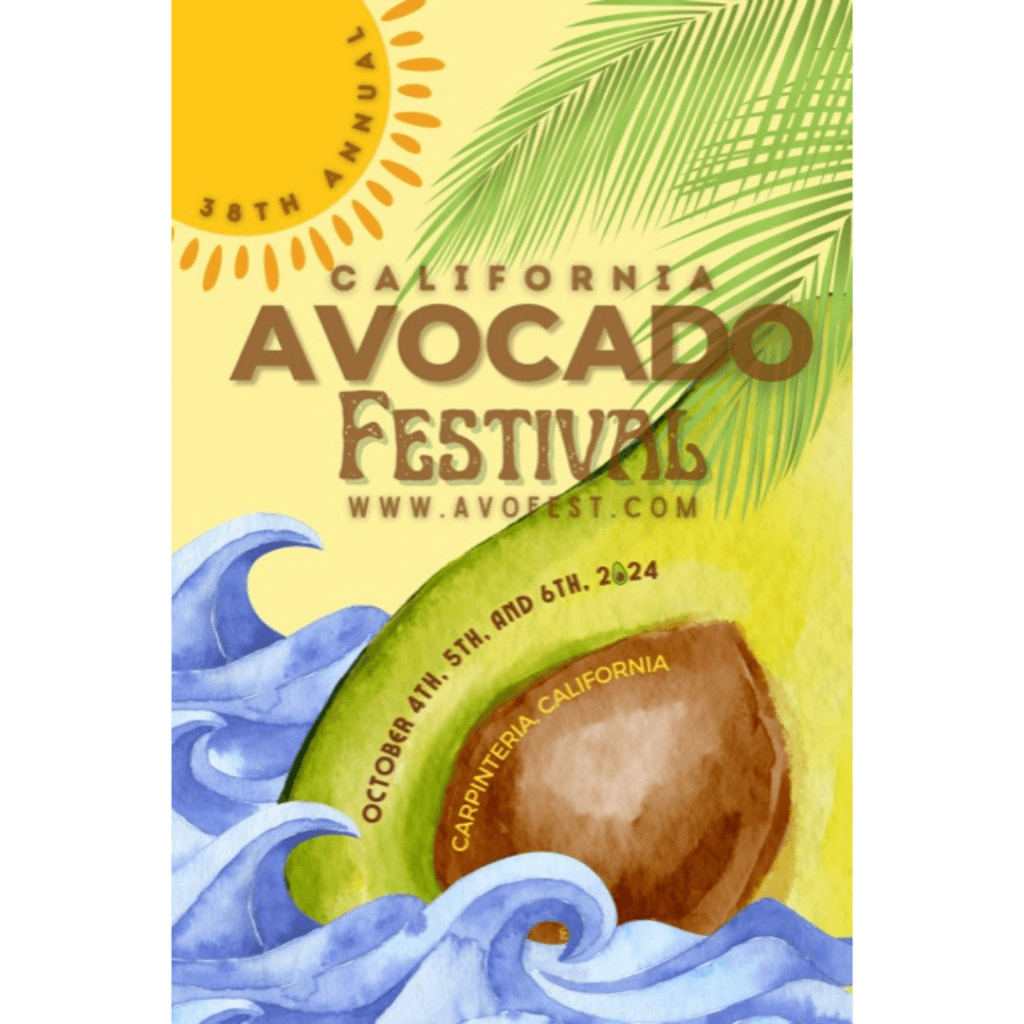 image 303 Festival 2025