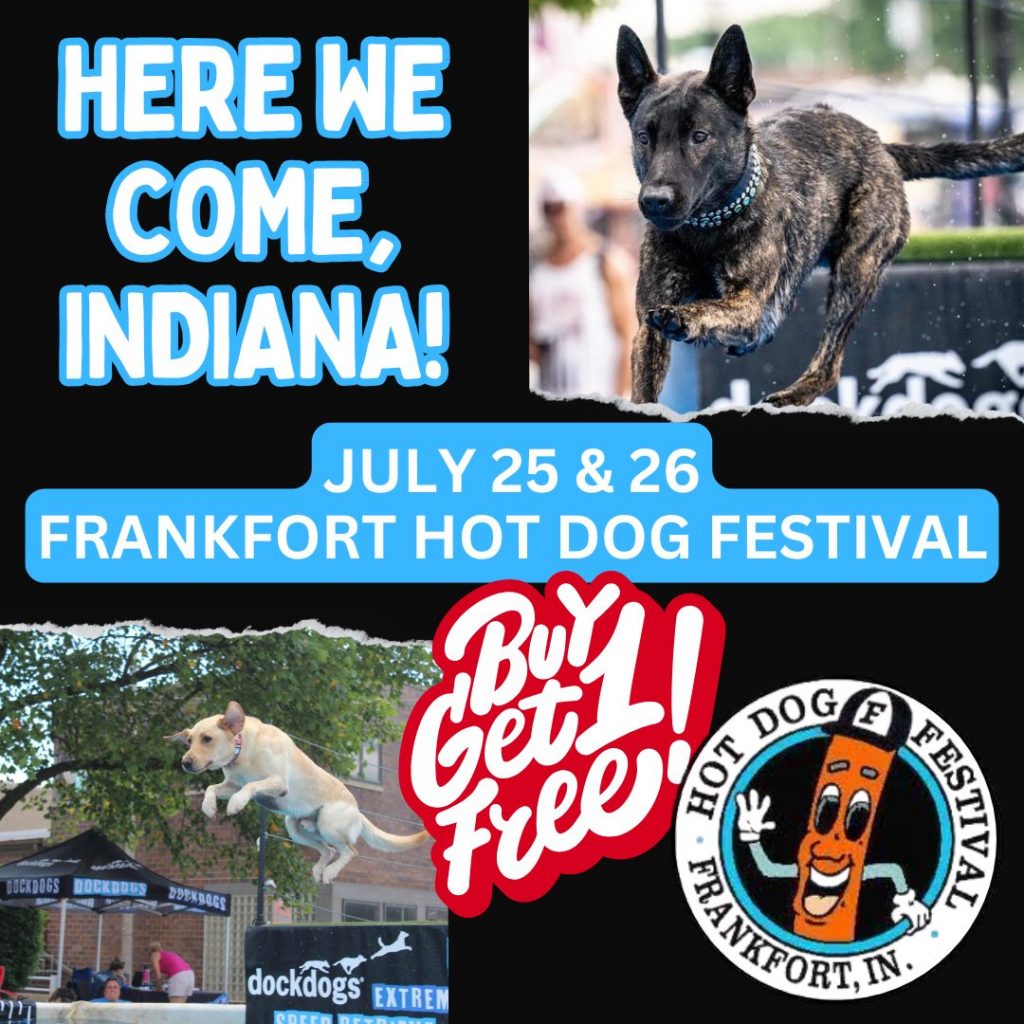 image 307 Festival 2025