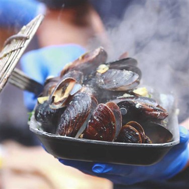 image 309 Festival 2025