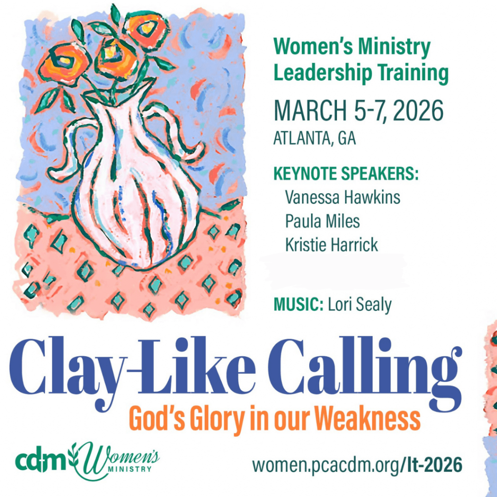 image 313 Festival 2025