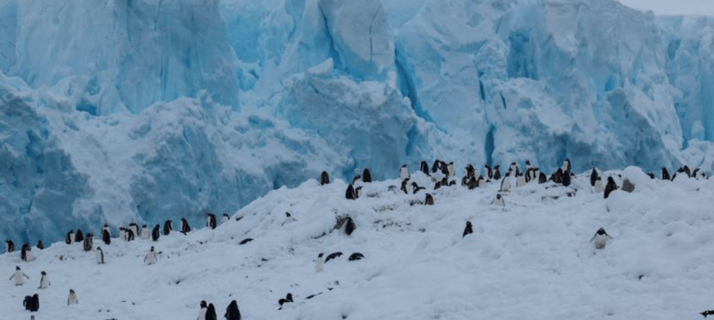 image 317 Festival 2025