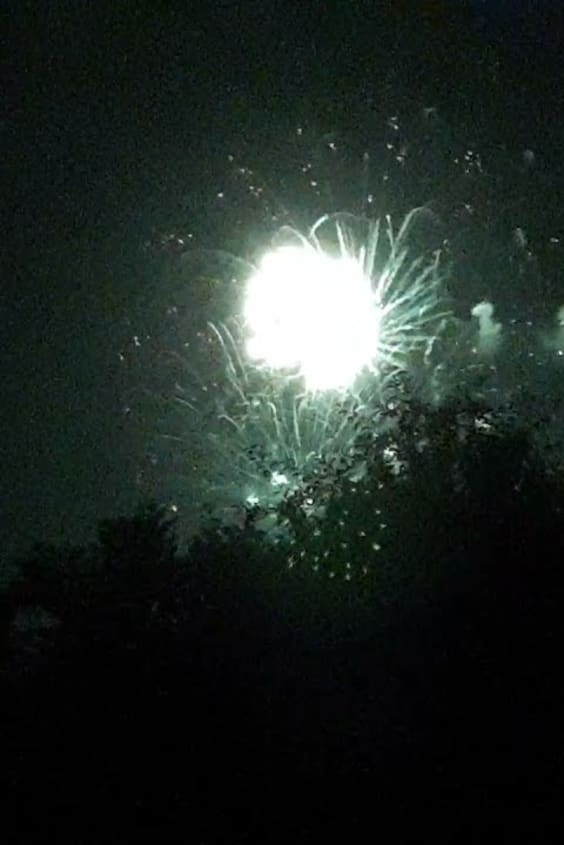 image 317 Festival 2025