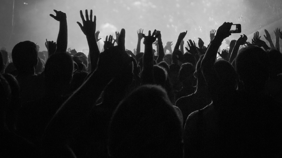 image 326 Festival 2025