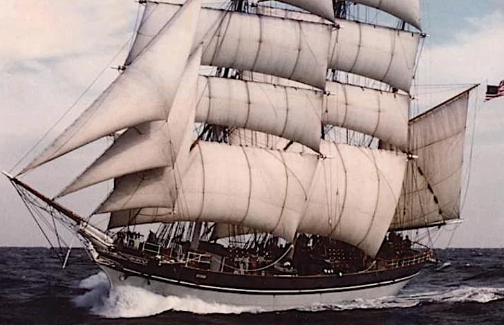 image 336 Festival 2025