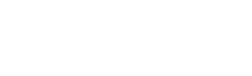 image 342 Festival 2025