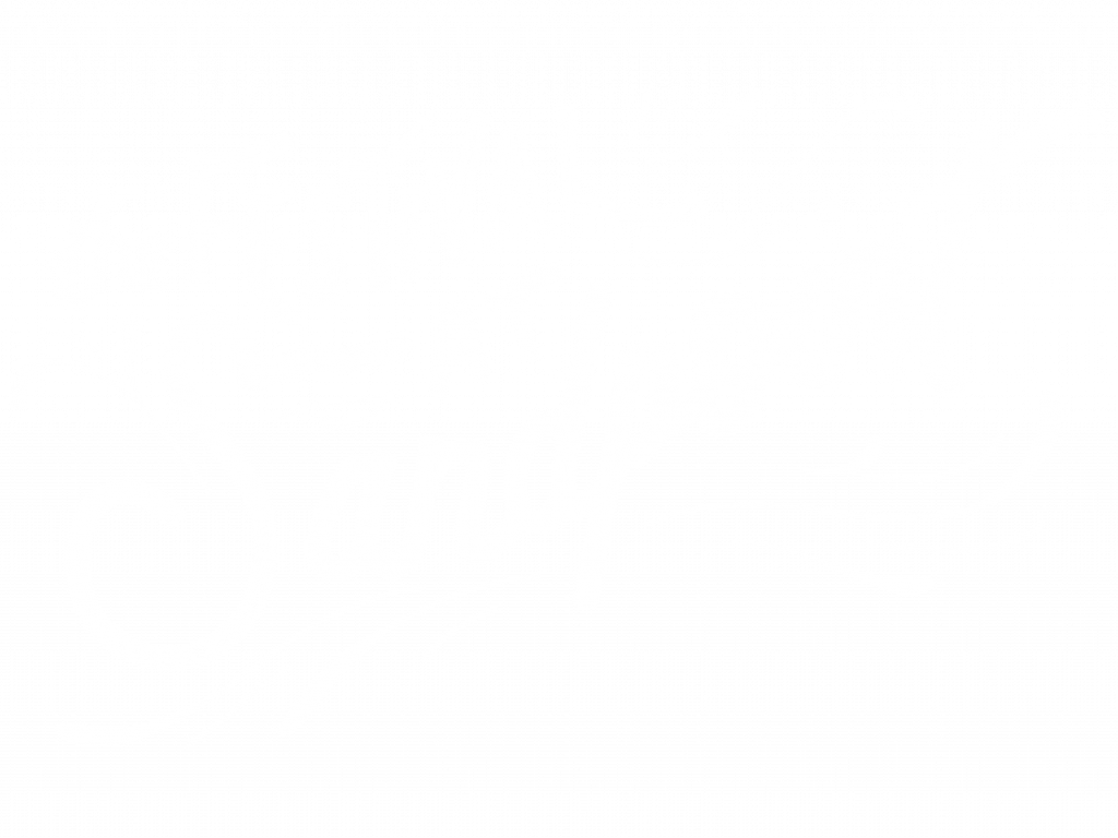 image 345 Festival 2025