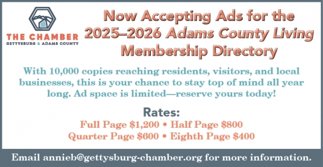 image 347 Festival 2025